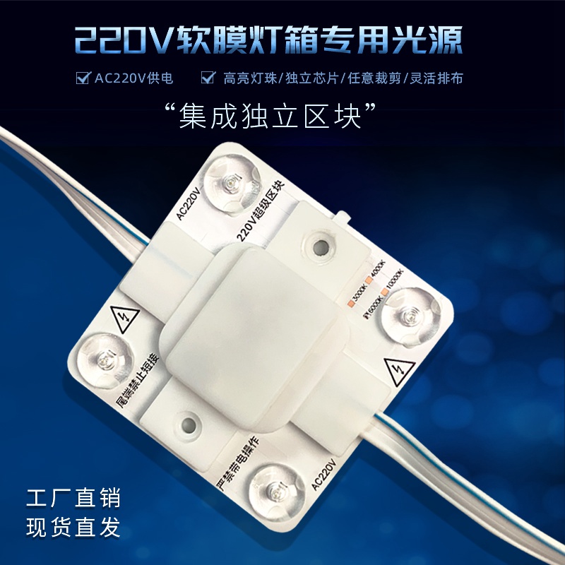 V100 220V LED Module